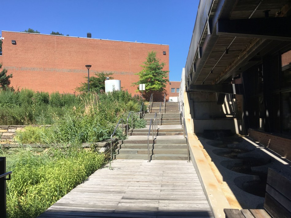 DC_Sidwell_1 copy.jpg